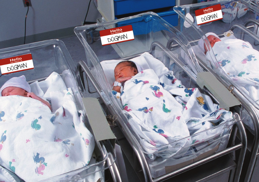 A NEW NAME TOPS LIST OF MOST POPULAR AMERICAN BABY BOY NAMES, AND IT MAY SURPRISE YOU!